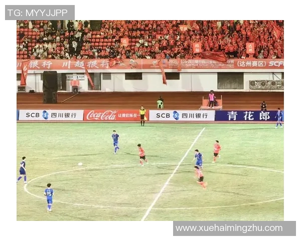 成都排球队灵活性引发热议球迷与专家观点碰撞激烈